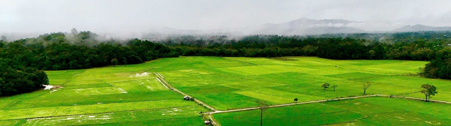 Ta Lai Field Dong Nai