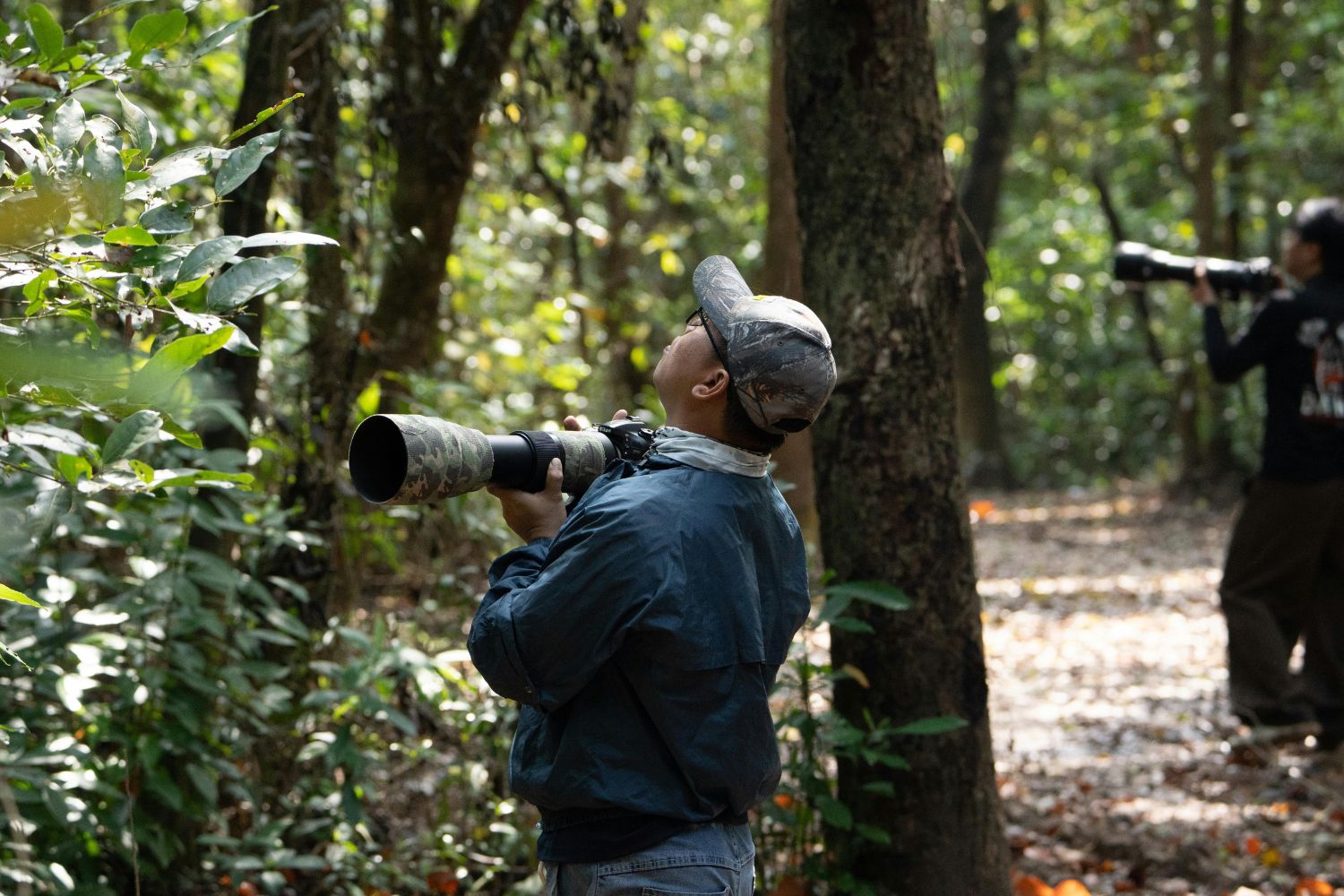 Every year, Cat Tien National Park attracts many birdwatchers because it is home to many beautiful bird species.